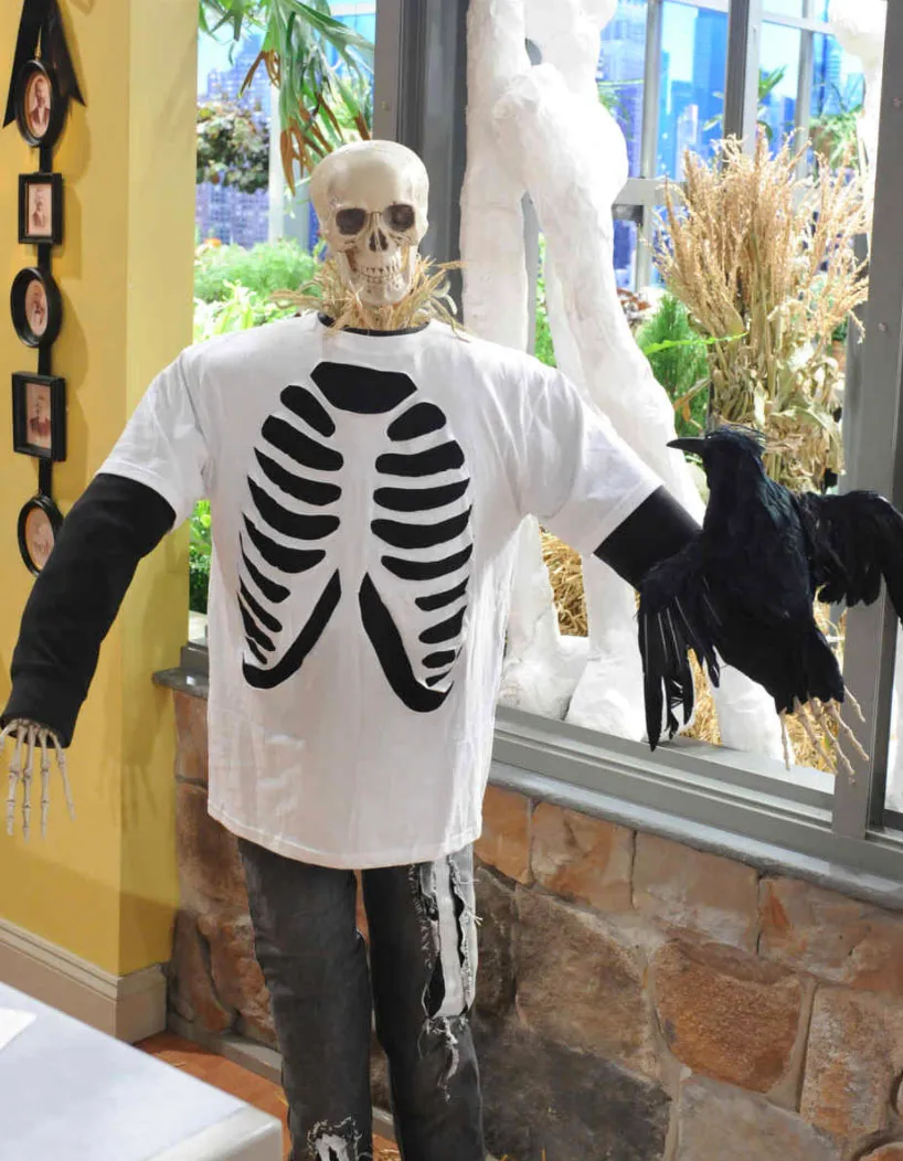 Martha Stewart skeleton t-shirt Halloween costume