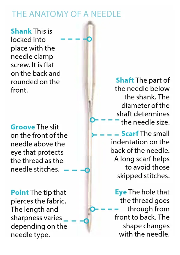 The anatomy of a sewing machine needle