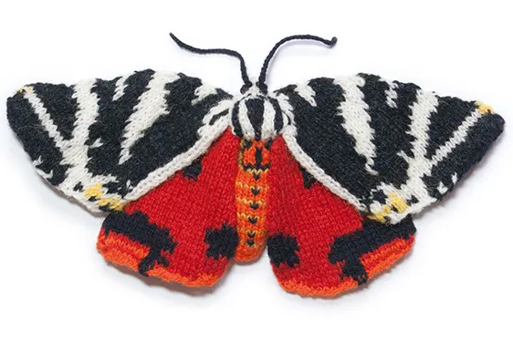 Max Alexander Jersey Tiger moth