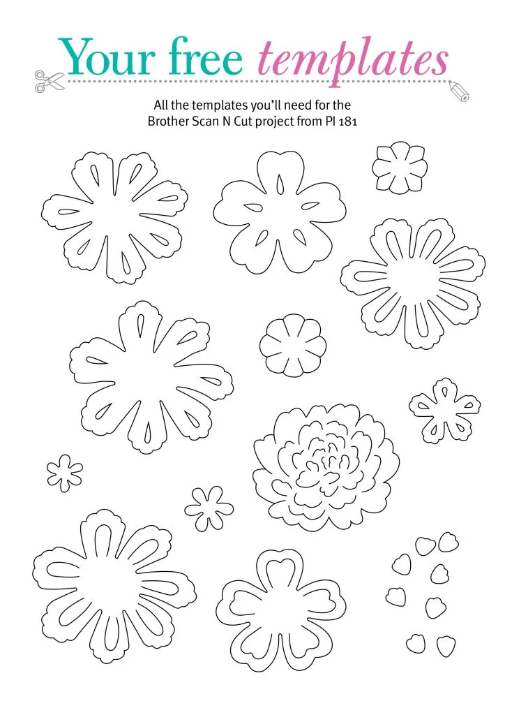 Free flower box card templates petals and flowers