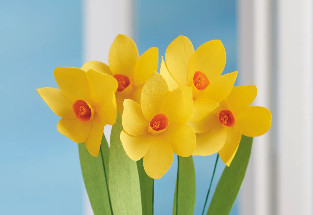 How to make crepe paper daffodils