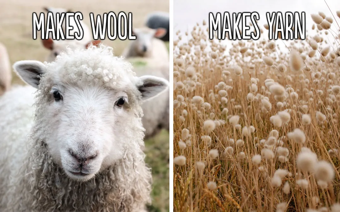 wool_and_yarn_difference