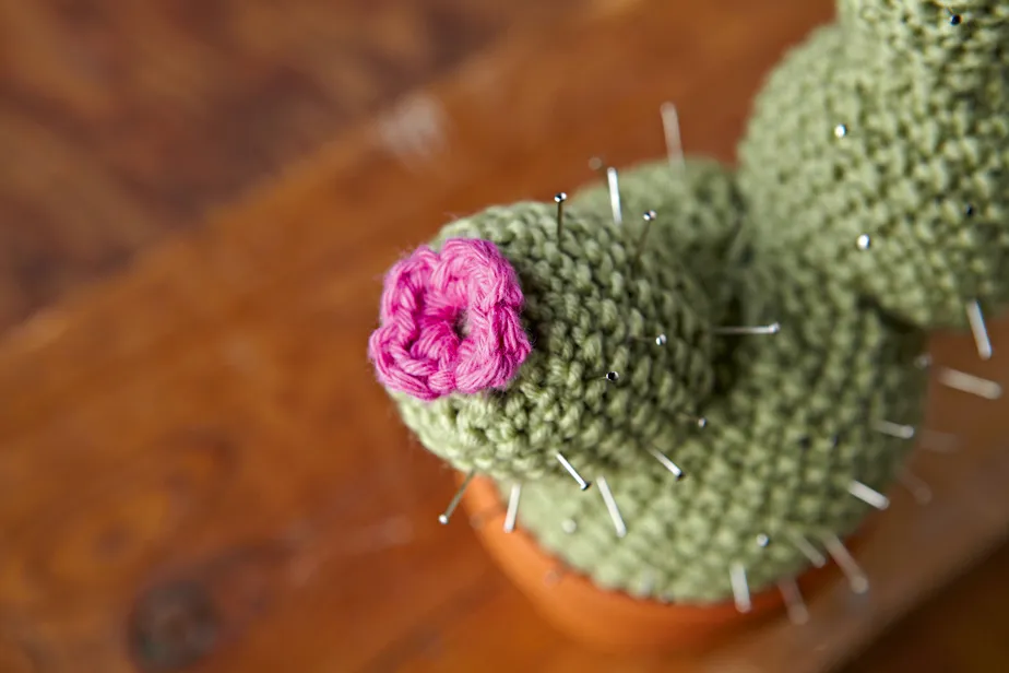 Bobbly knitted cactus pattern
