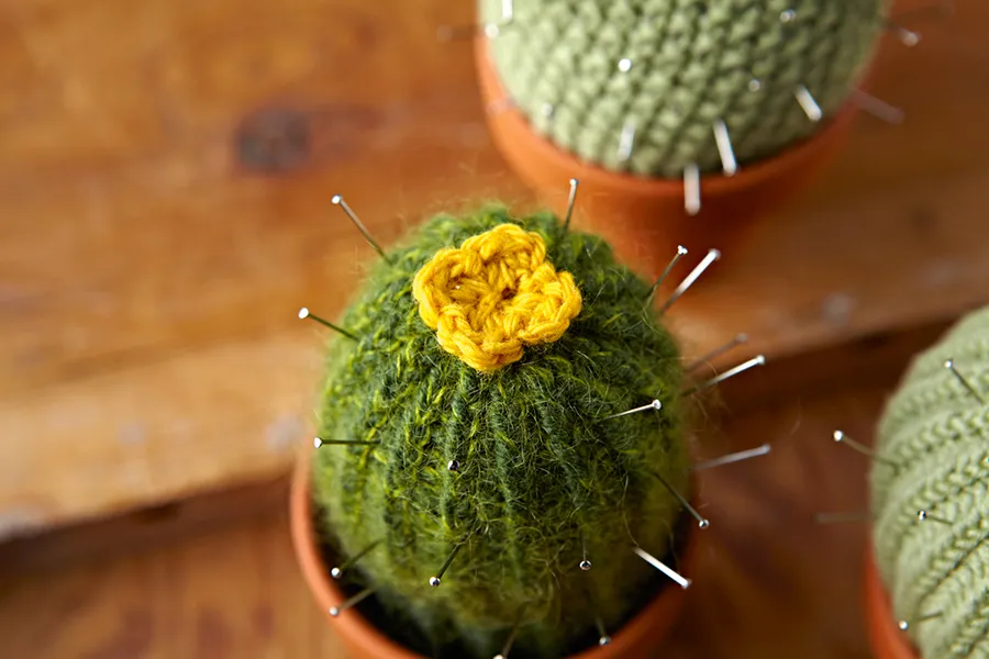 Tall knitted cactus pattern