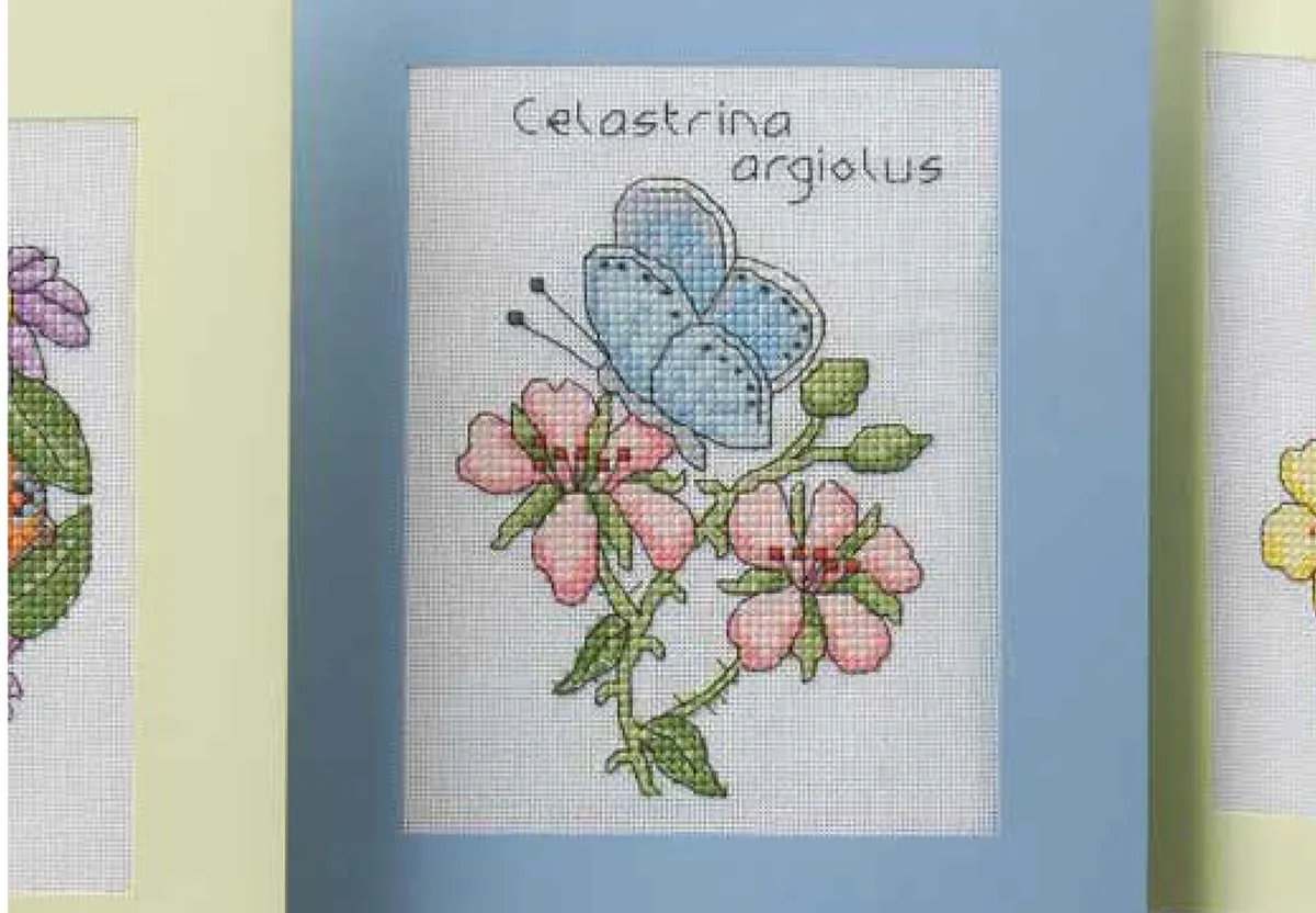 butterfly cross stitch pattern 4