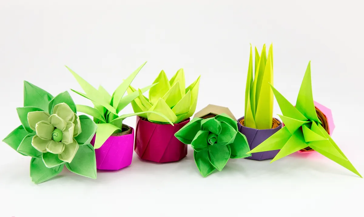 Tiny origami succulents