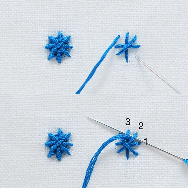Embroidery stitches for beginners whipped spider web stitch
