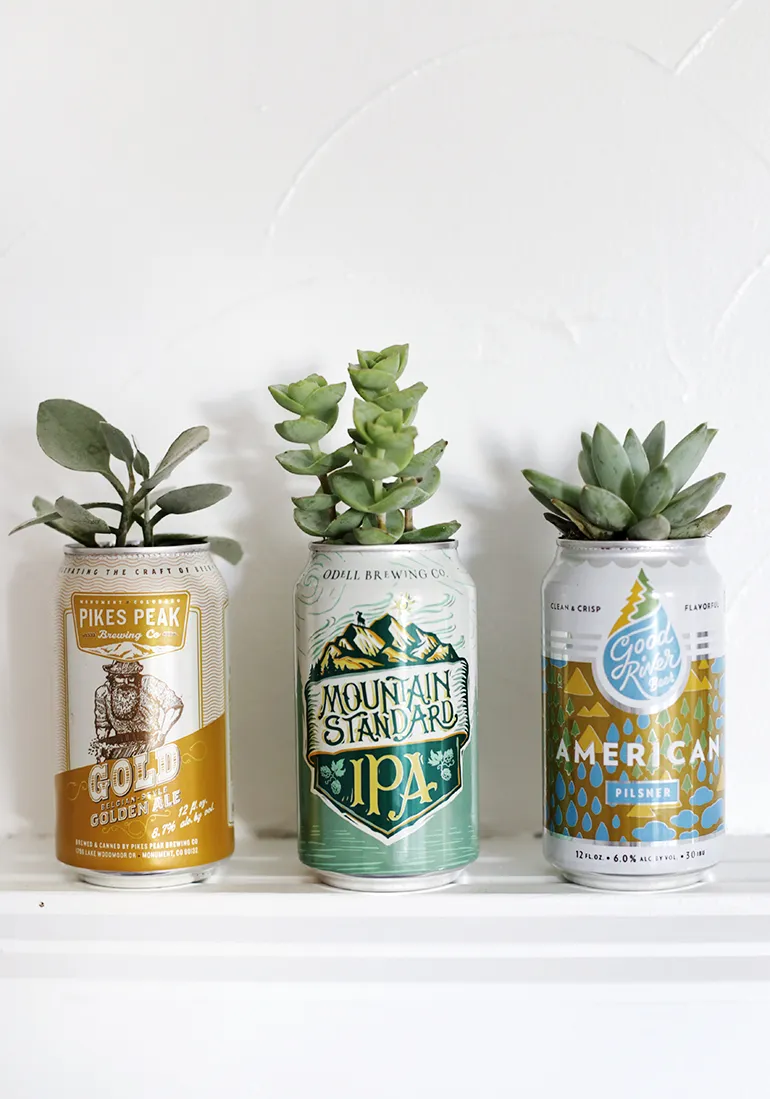 BeerCanPlanter fathers day crafts