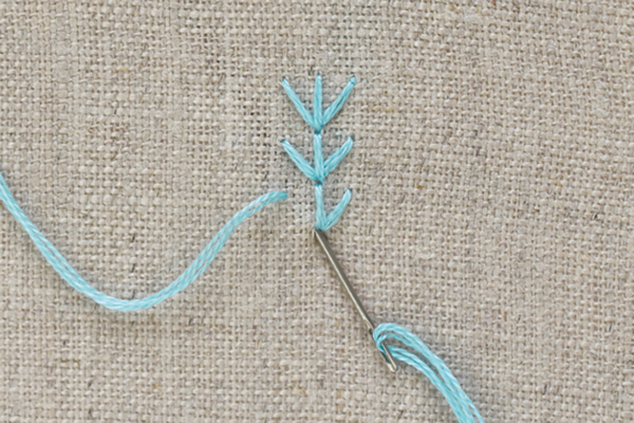 How_to_fern_stitch_embroidery_step_02