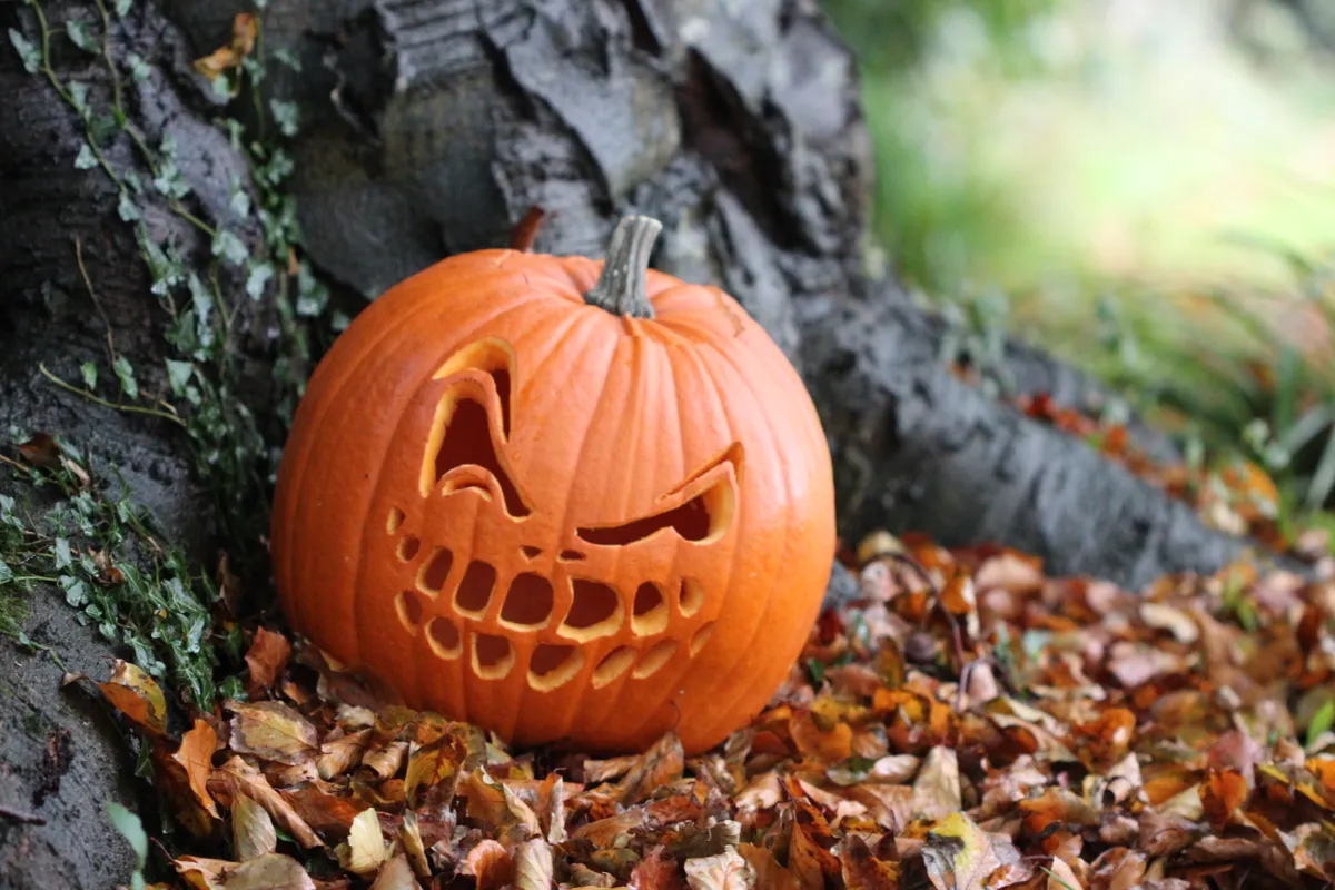 How to carve a pumpkin step by step