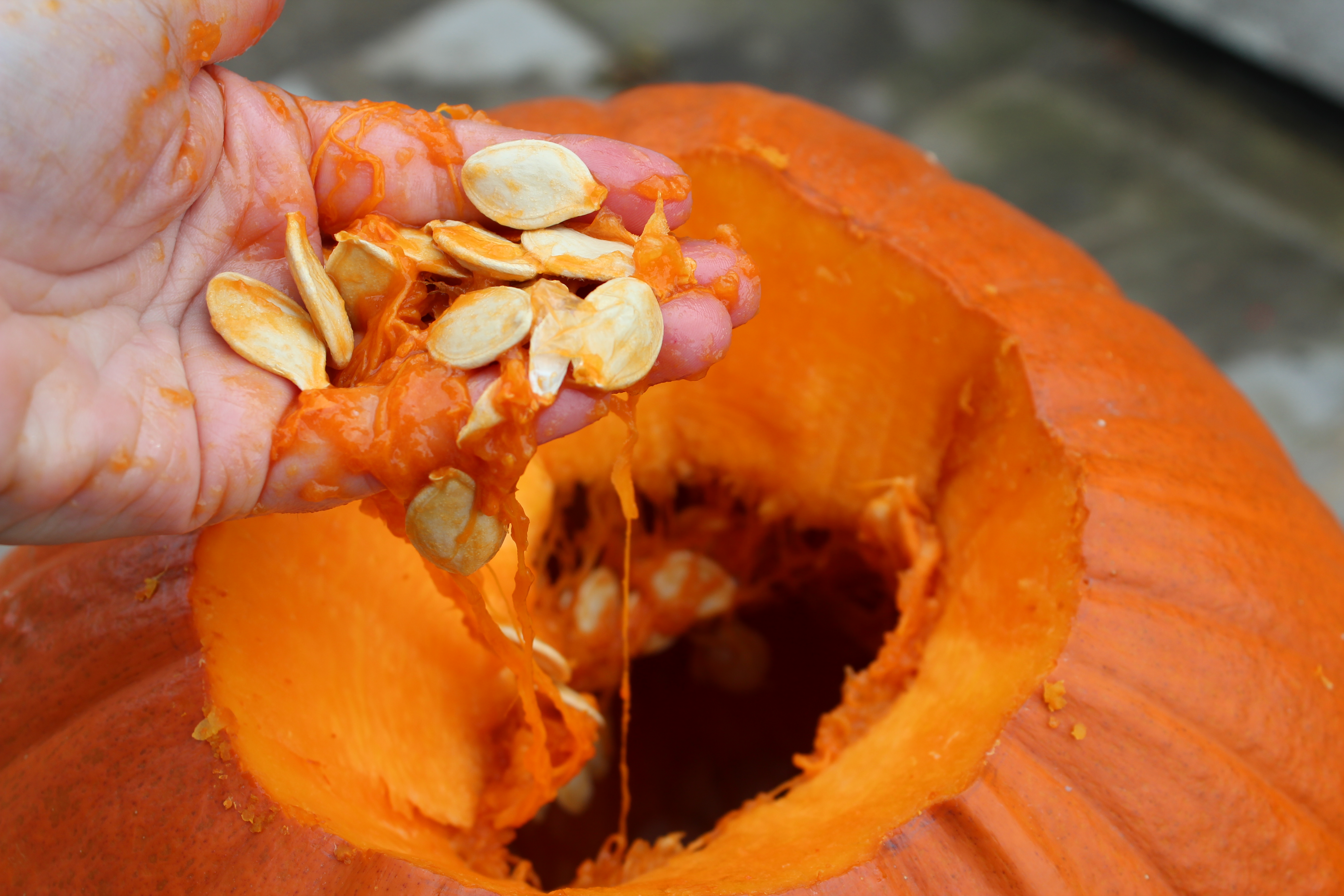 How do you carve a pumpkin? Remove the seeds