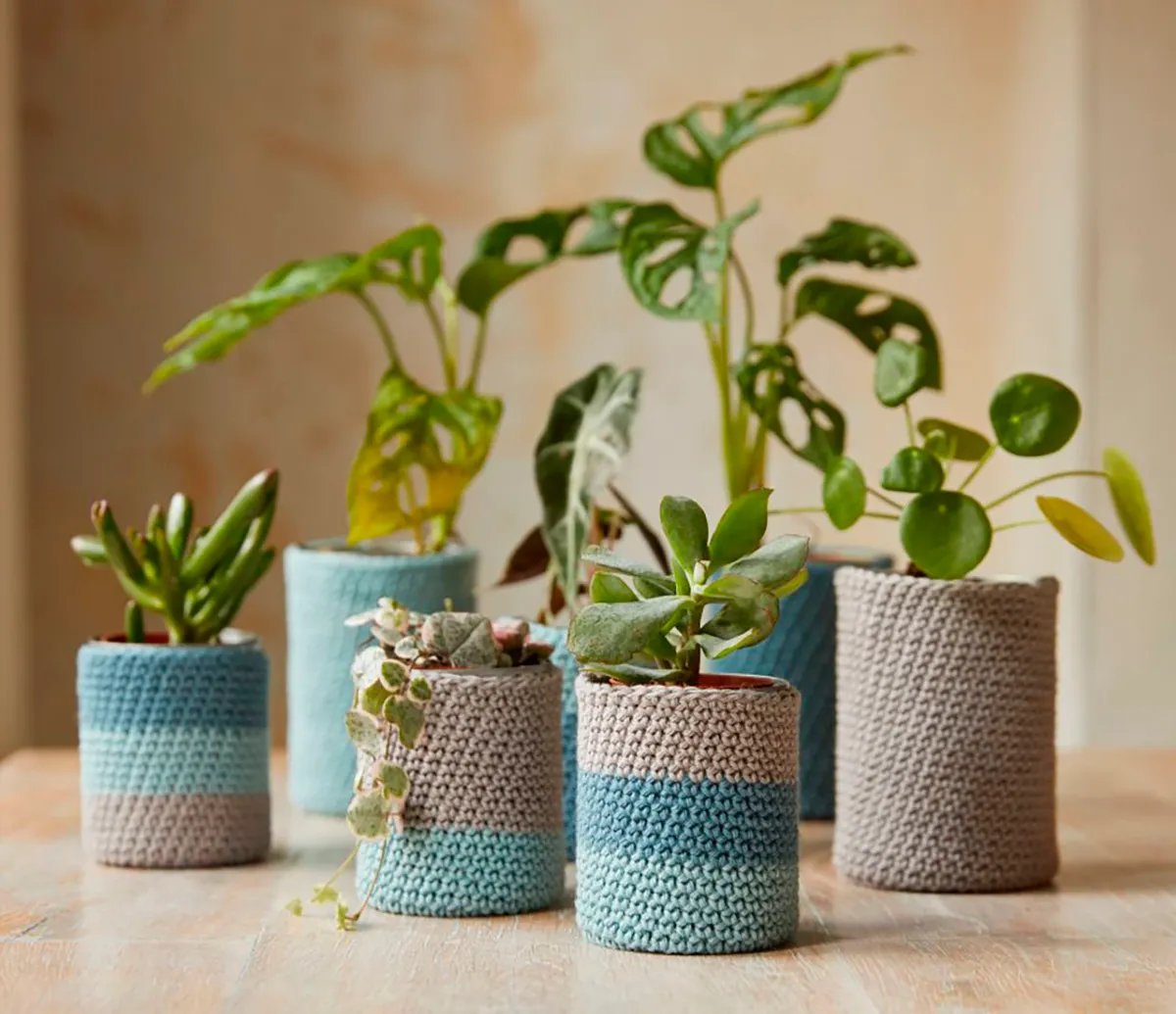 DMC_peaceful_plant_pots_crochet_kit