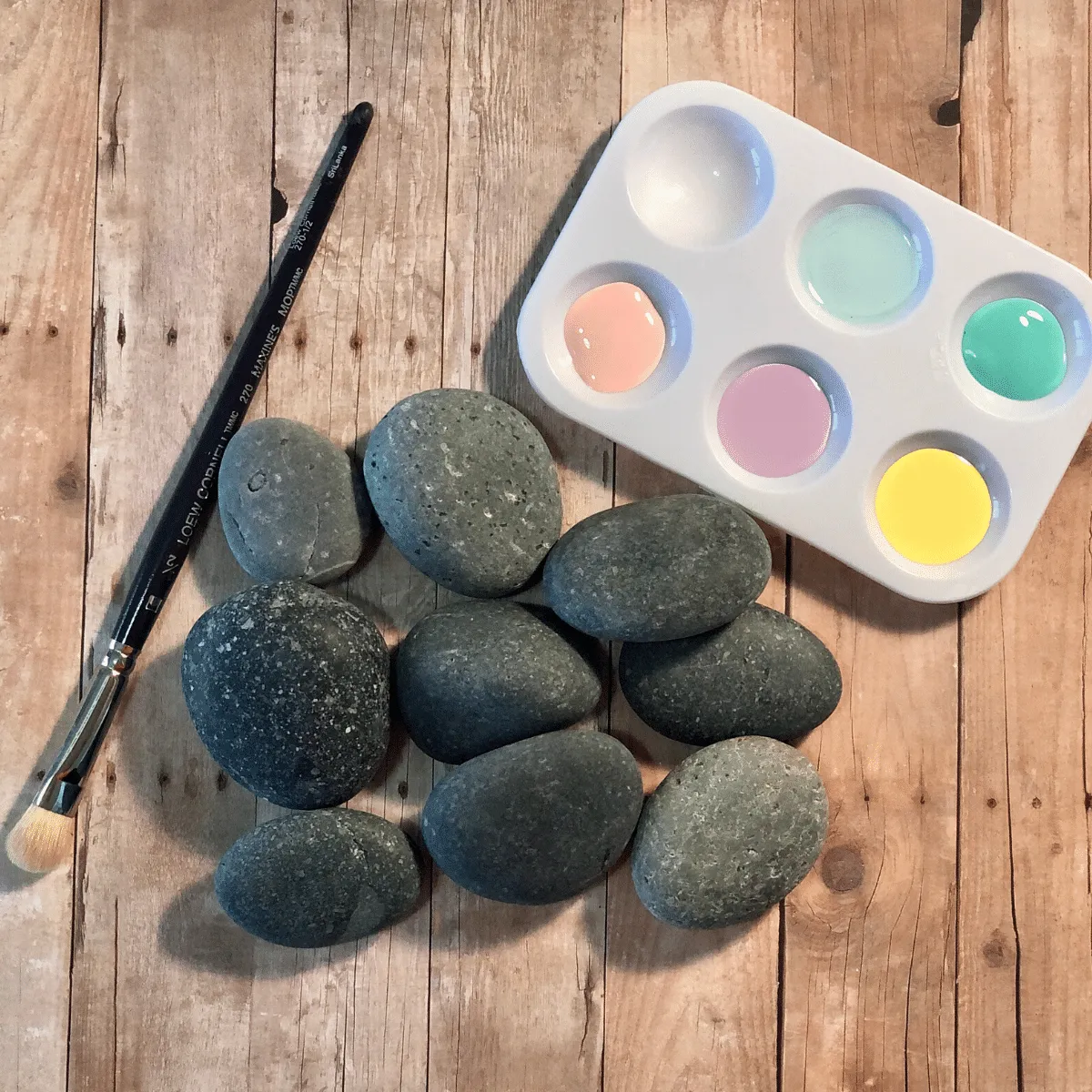 11 Best Places to Find Perfect Rocks for Painting - Carla Schauer Designs