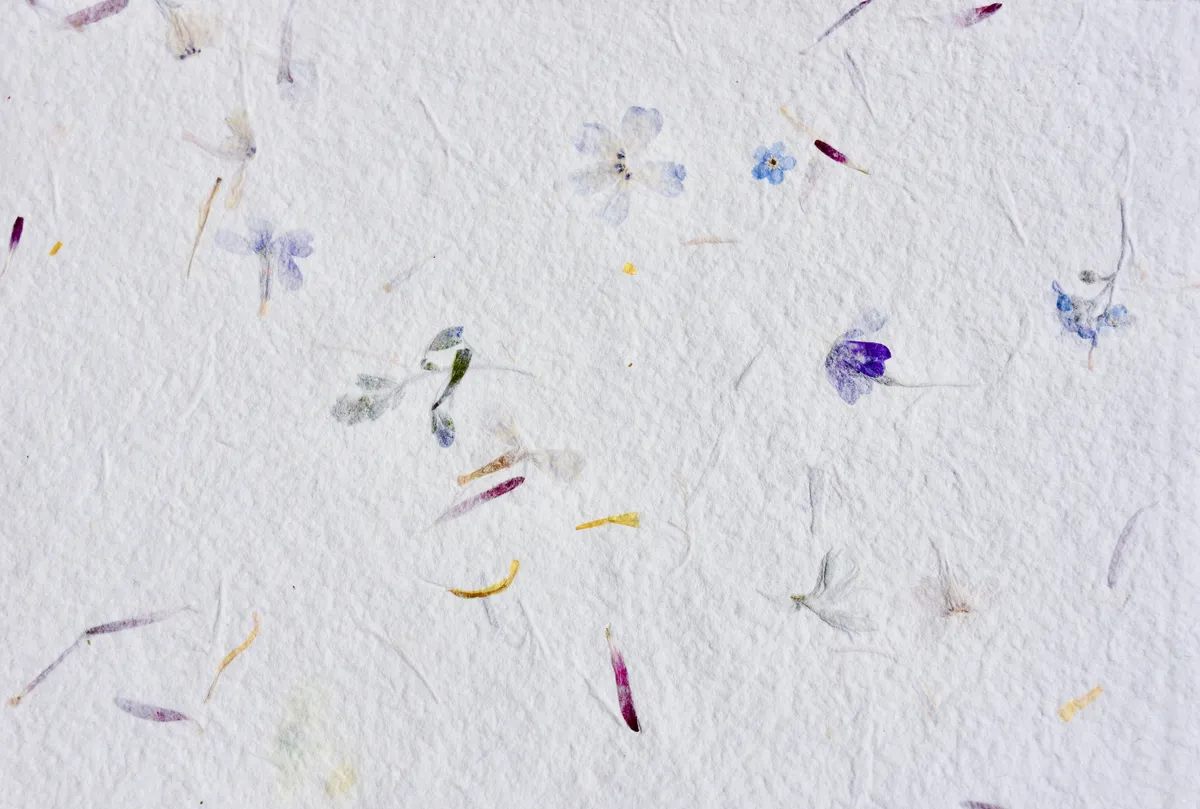Handmade paper with dried flowers - image credit Loretta Rosa