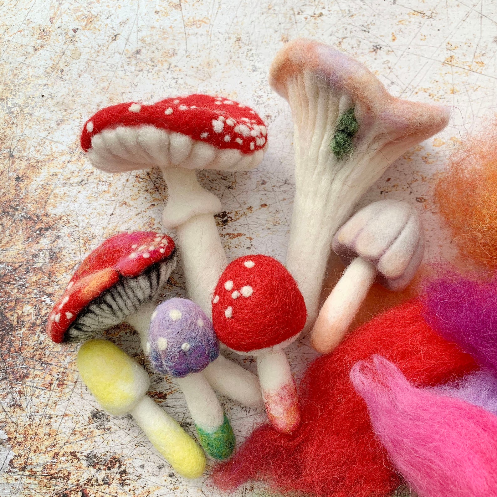 Beginner Punch Needle Embroidery DIY Kit Mushroom Toadstool Needle Punching  DIY Craft Kit Mushroom Decor 2 Color Choices 