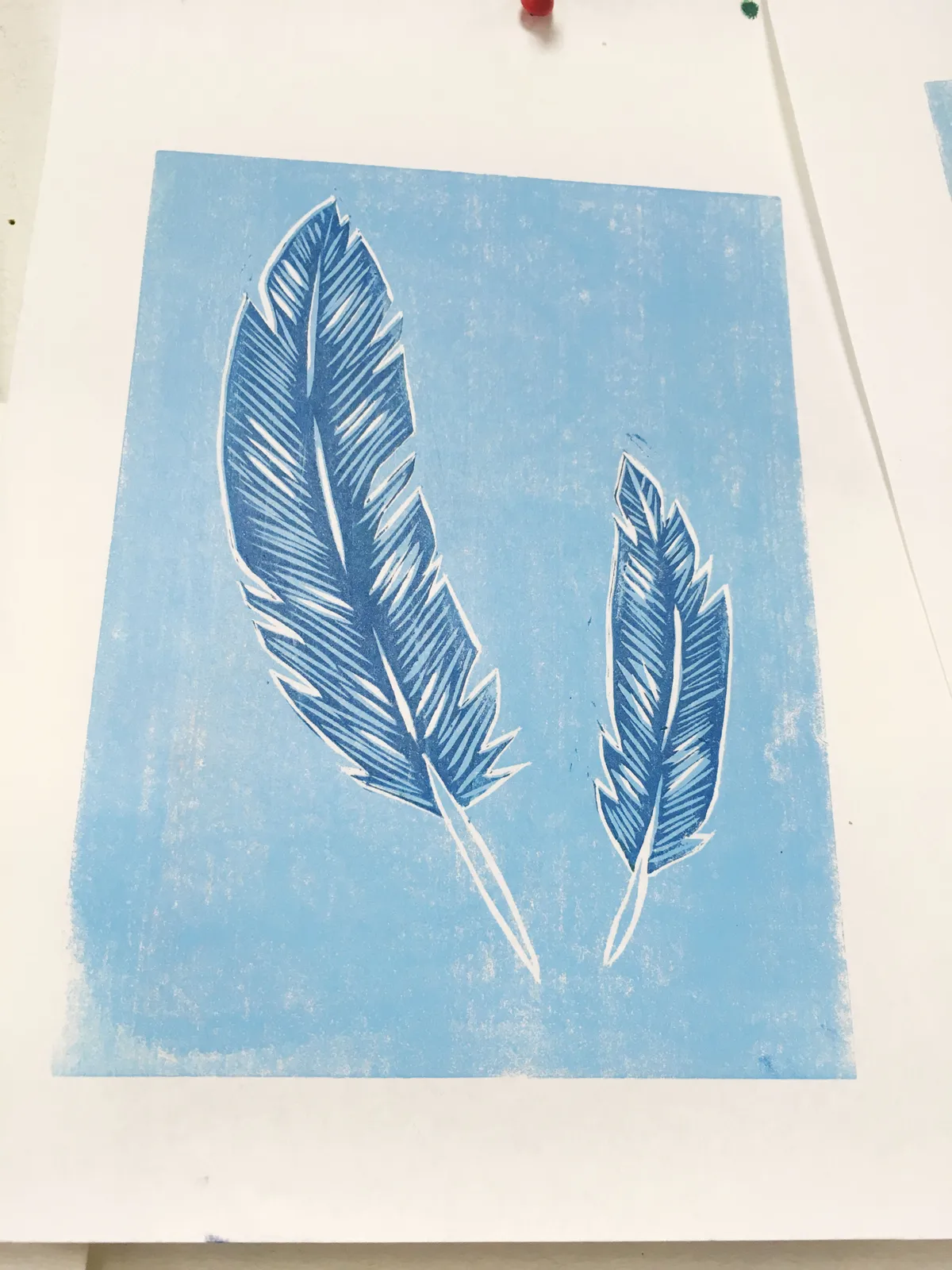 A feather reduction print