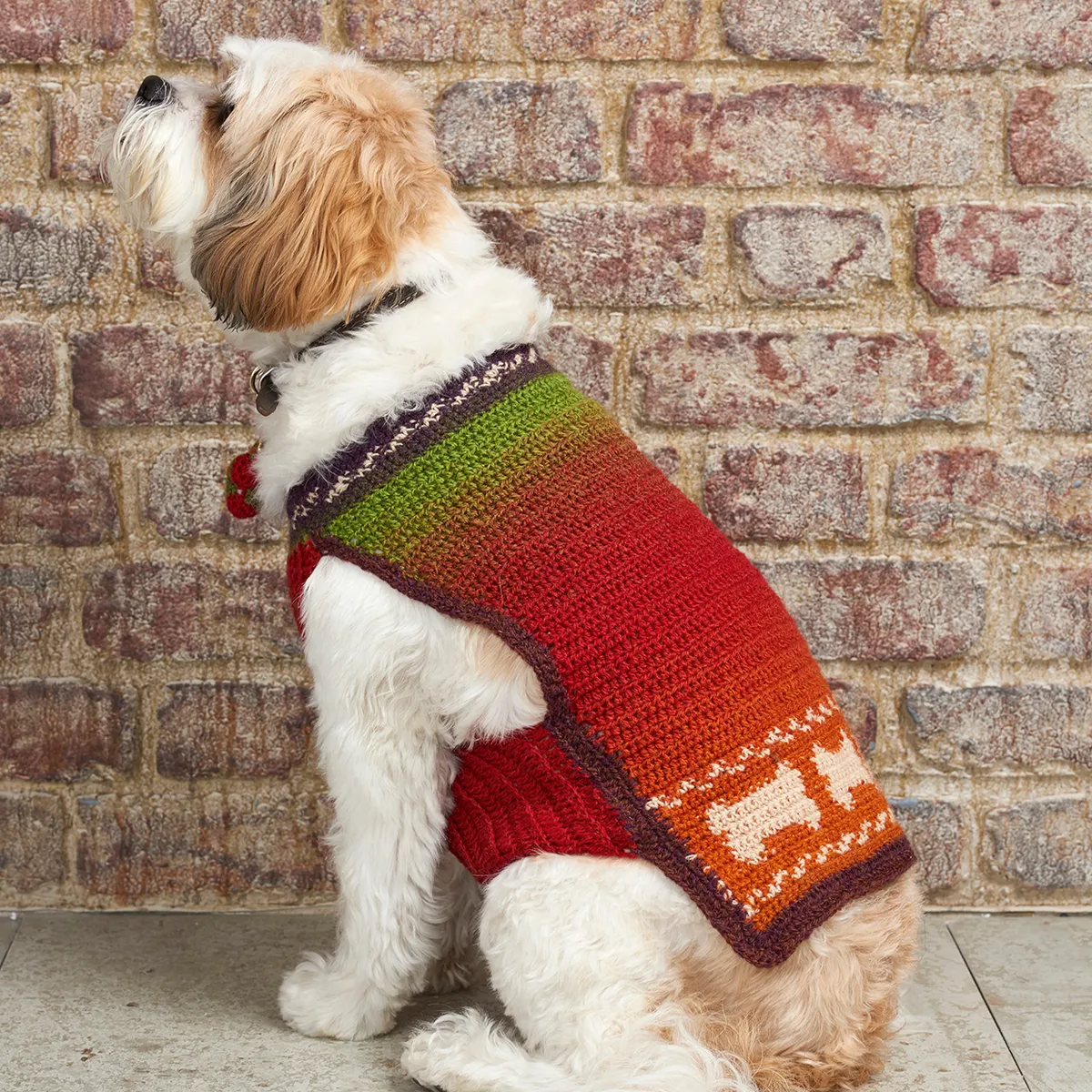 Free_dog_Sweater_crochet_pattern_main