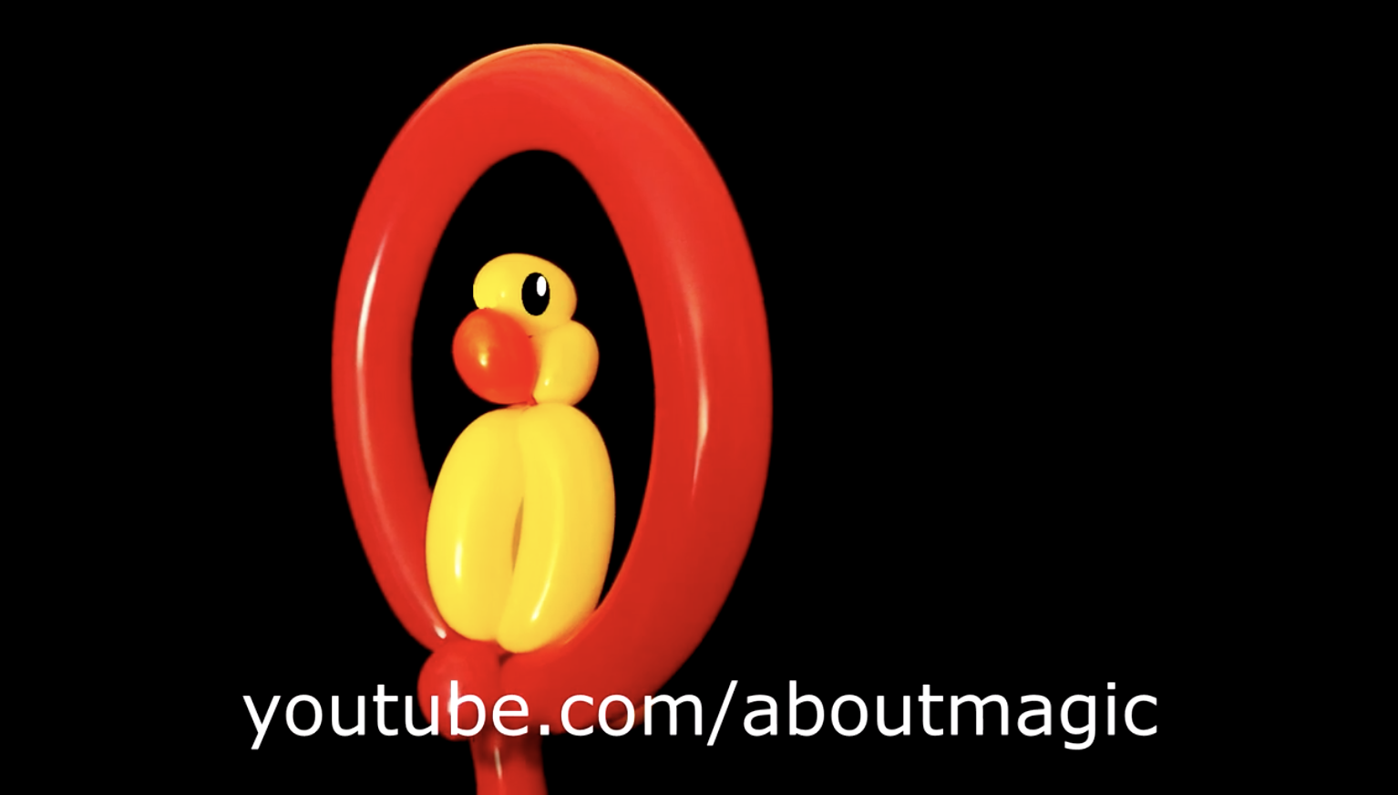How to make a balloon parrot
