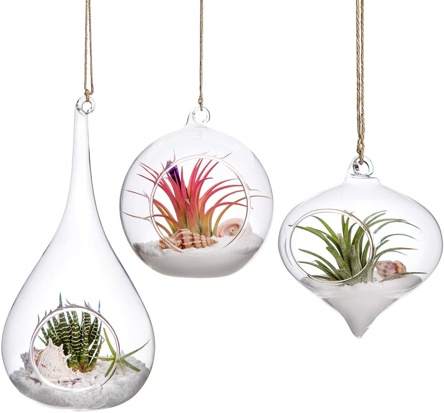 Hanging glass terrariums, shaped – Amazon