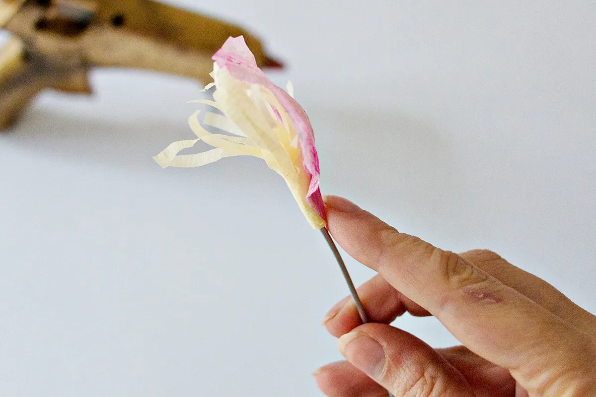 How to make a crepe paper flower peony - step 6