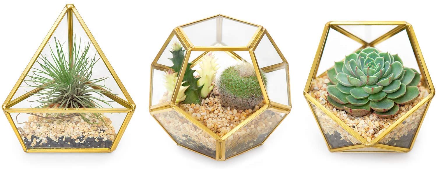 Mini geometric terrarium – 3 pack, Amazon