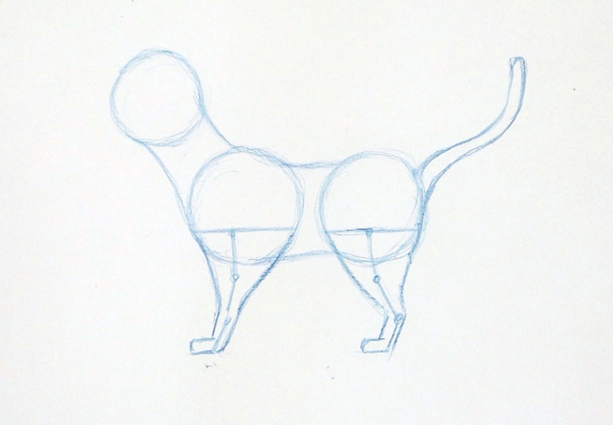 How to draw a cat easy step 4