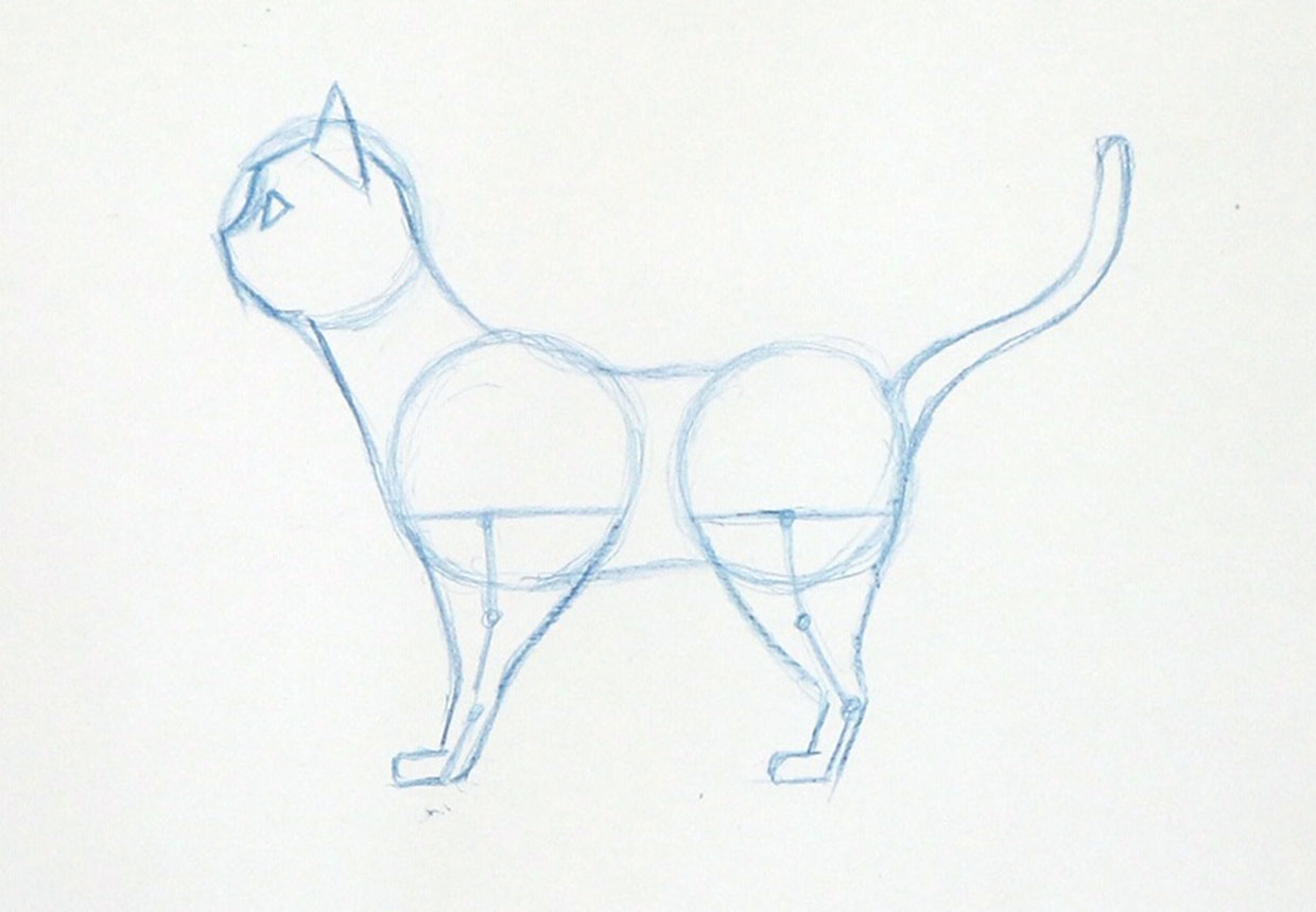 How to draw a cat easy step 5