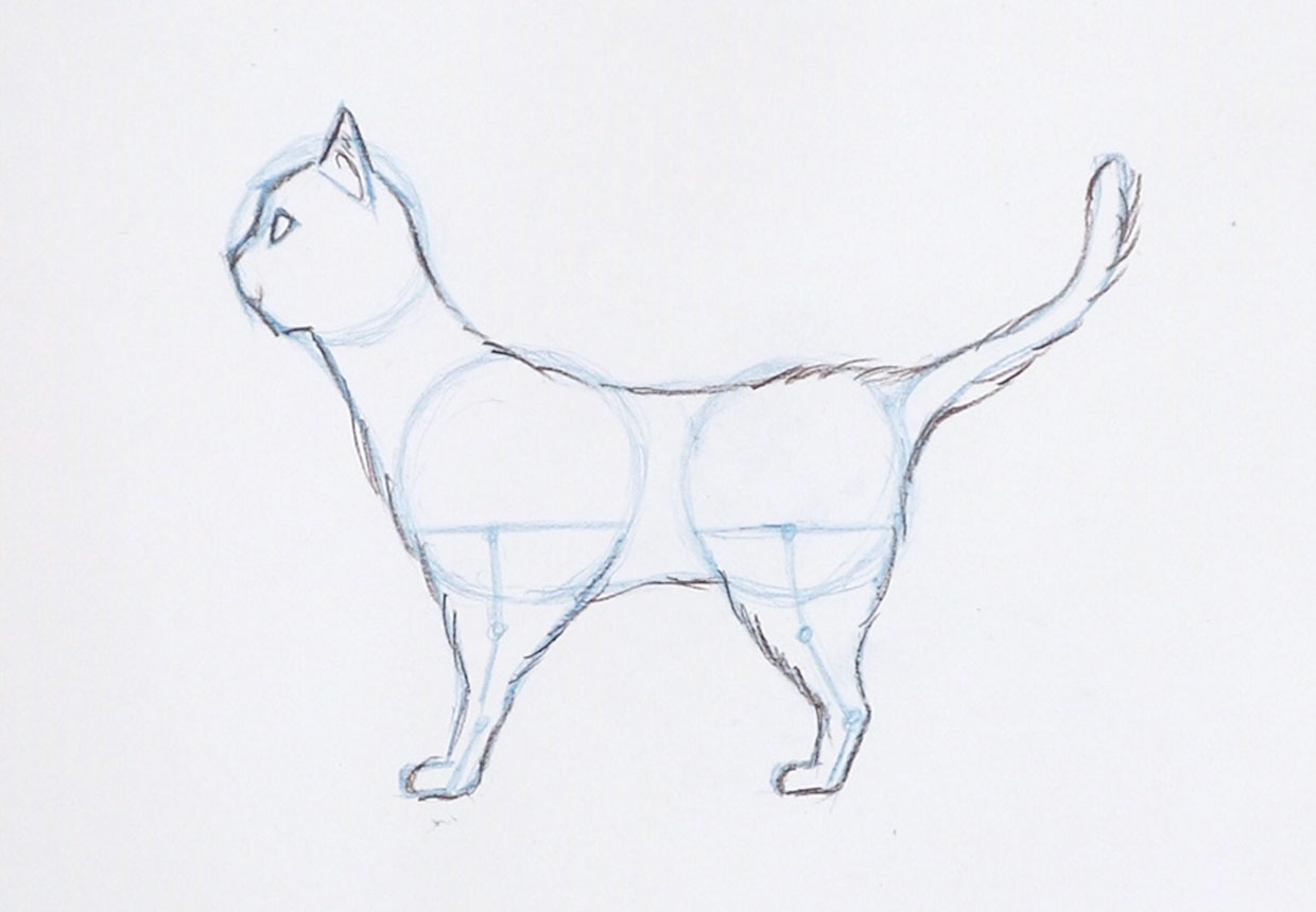 Cute Cat Pencil Drawing. : r/learntodraw