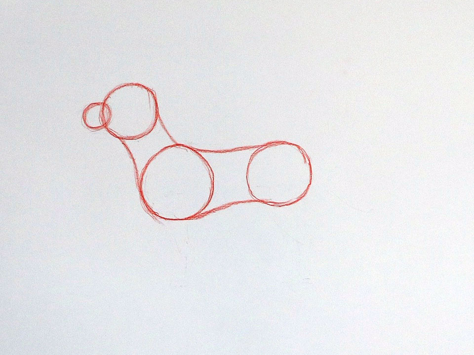 Join up the circles to connect the dog’s head to its body
