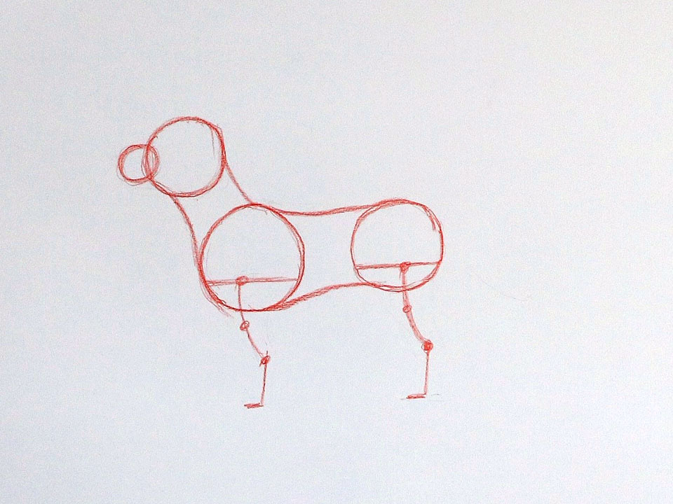 how to draw a dog step by step 4 27111cc
