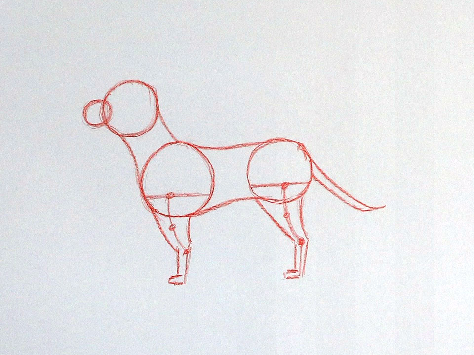 Sketch the shape of the dog’s legs and add the paws
