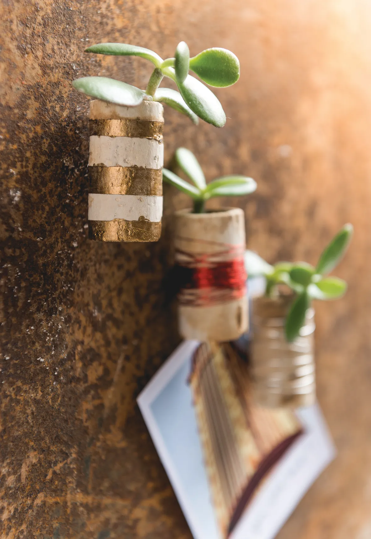 How to make cork planters