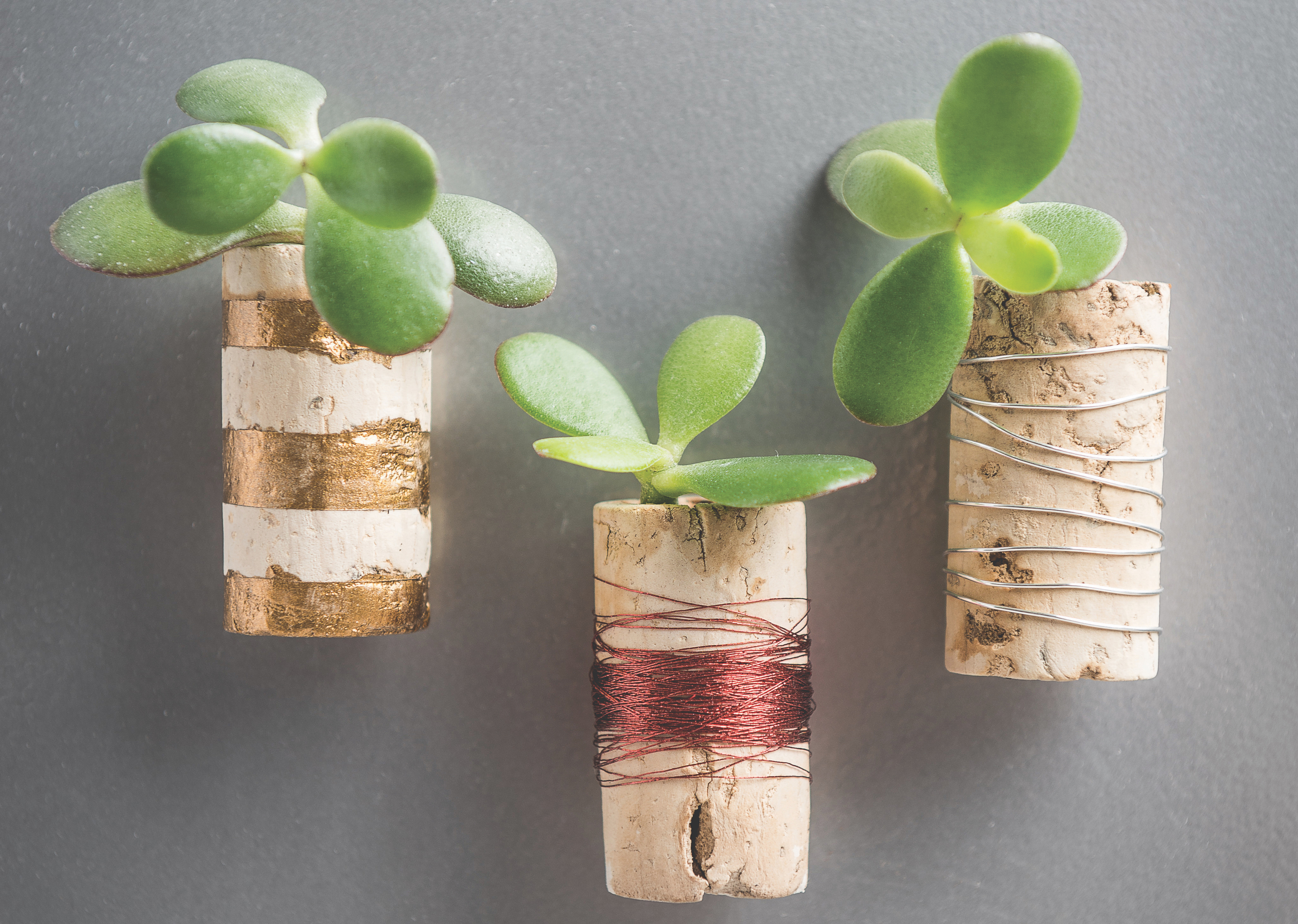 How to make cork planters – landscape