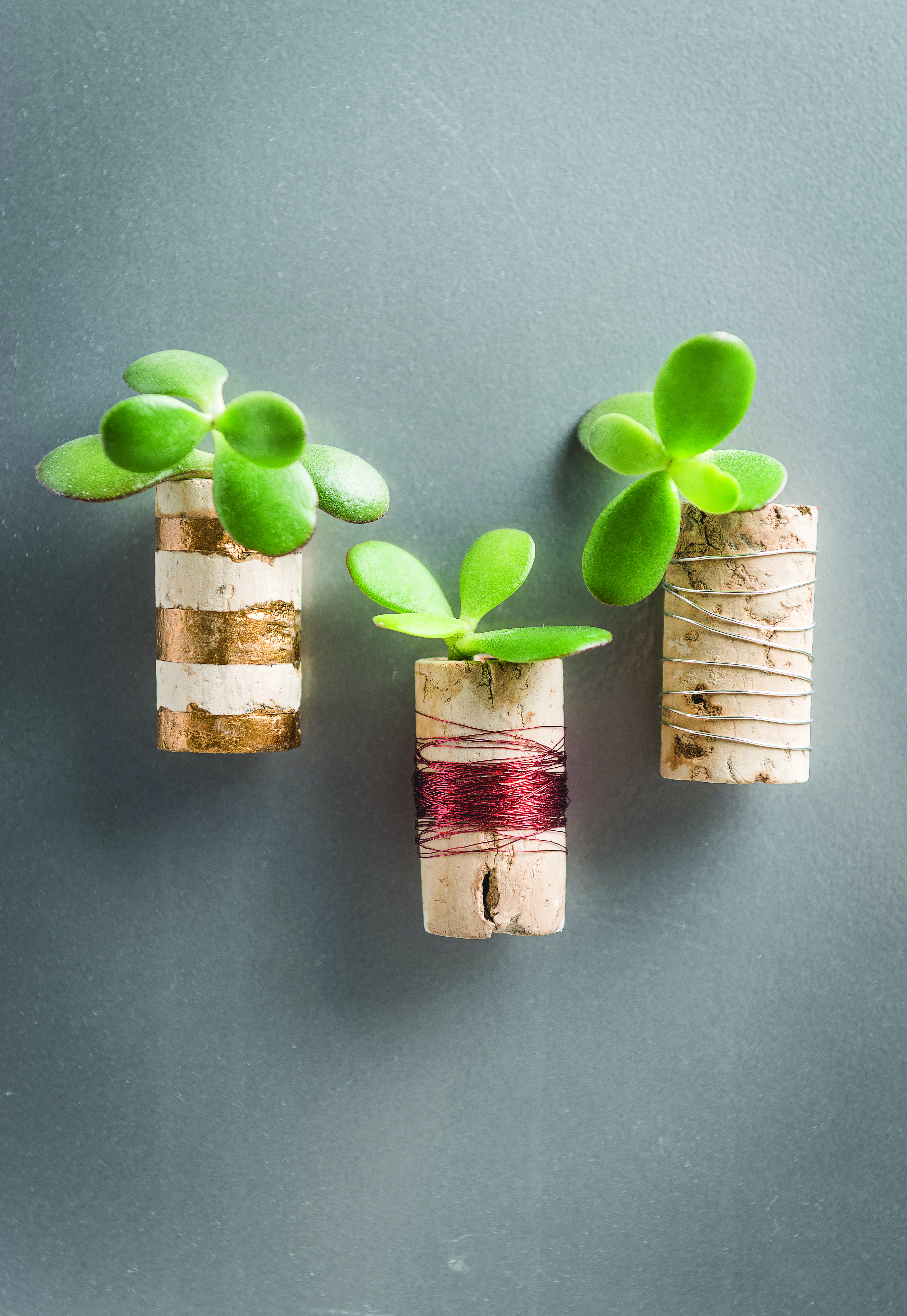 How to make cork planters – portrait