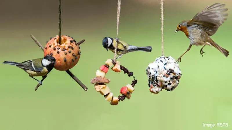 easy fall craft kids diy bird feeders