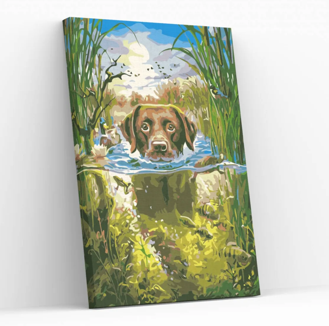 paint by numbers kit with swimming dog