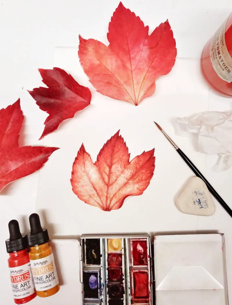 Fall painting ideas – autumn leaves botanical painting
