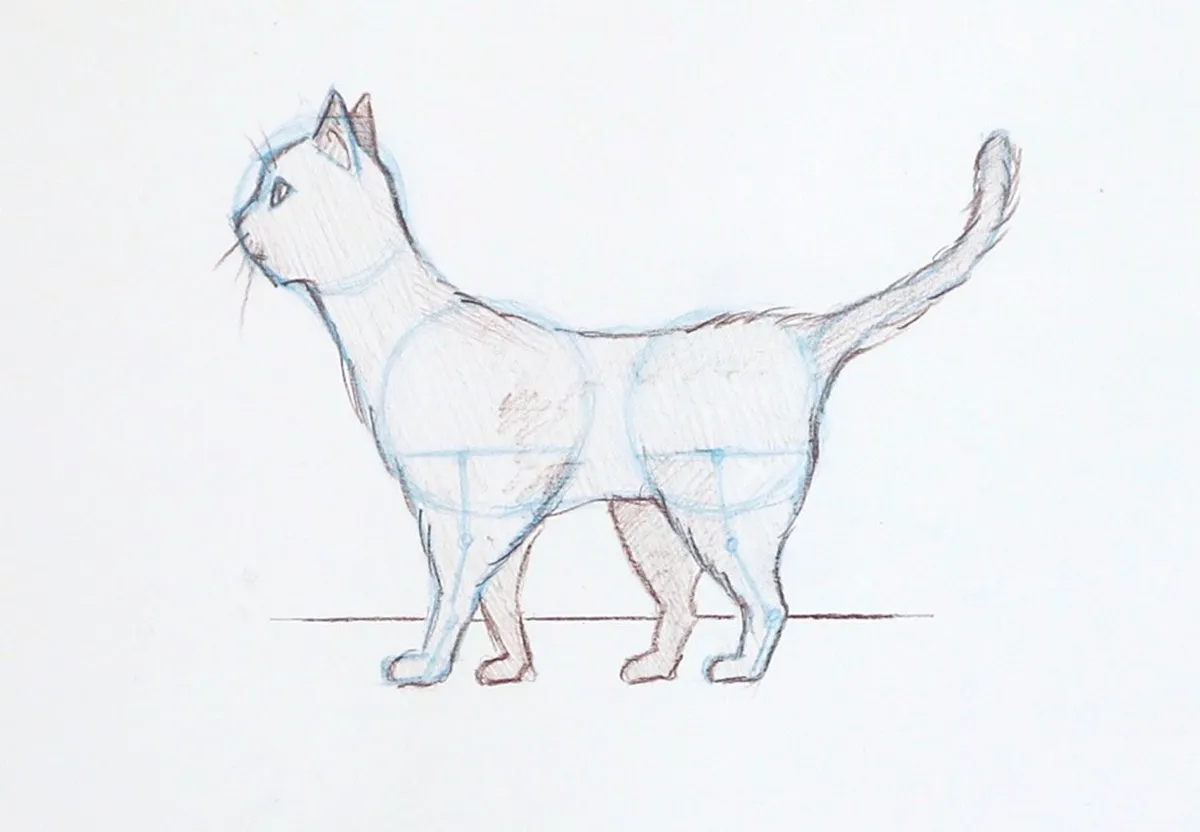 Halloween art projects – how to draw a cat