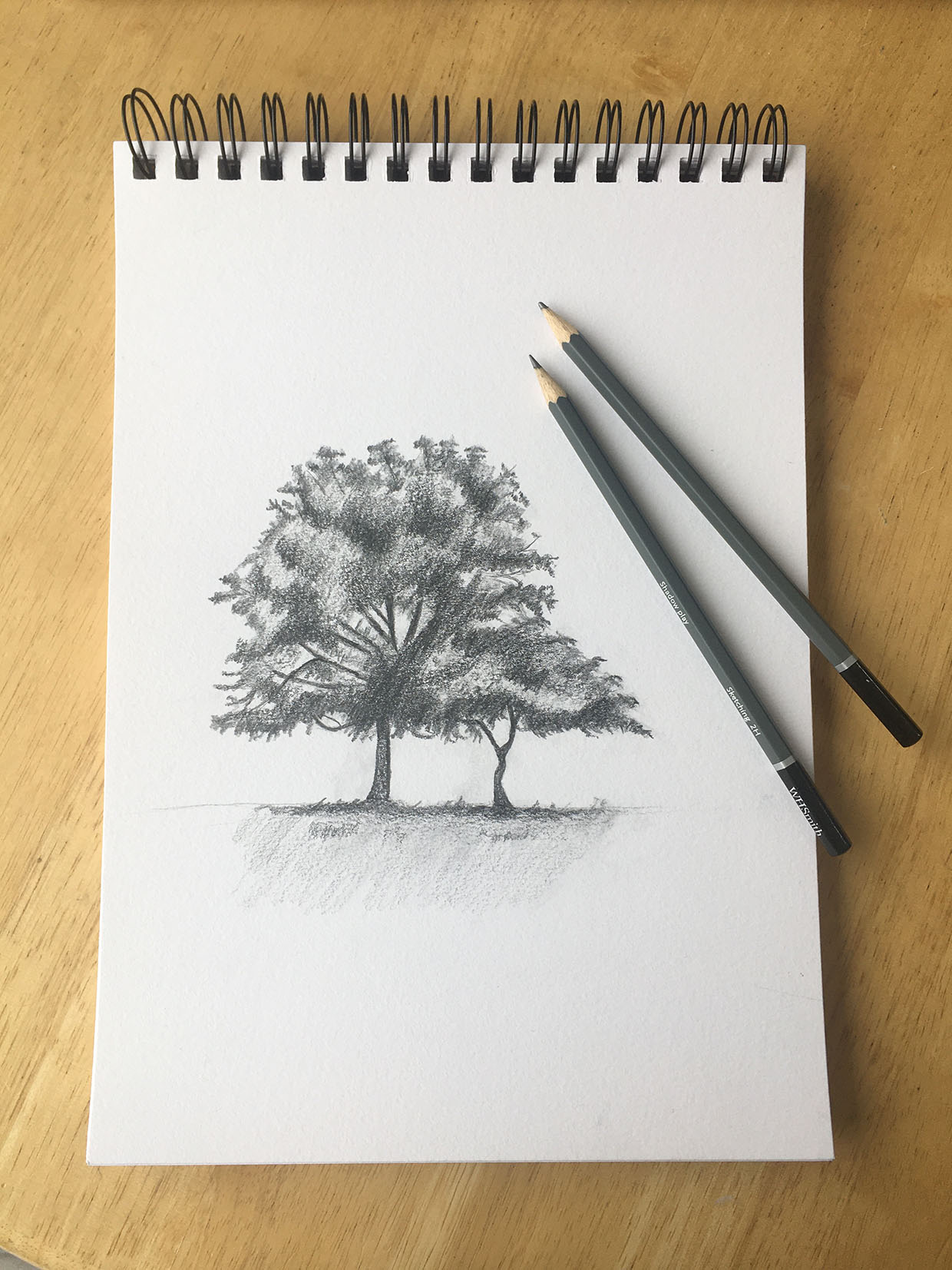 How to Draw a Tree (Realistic) - YouTube
