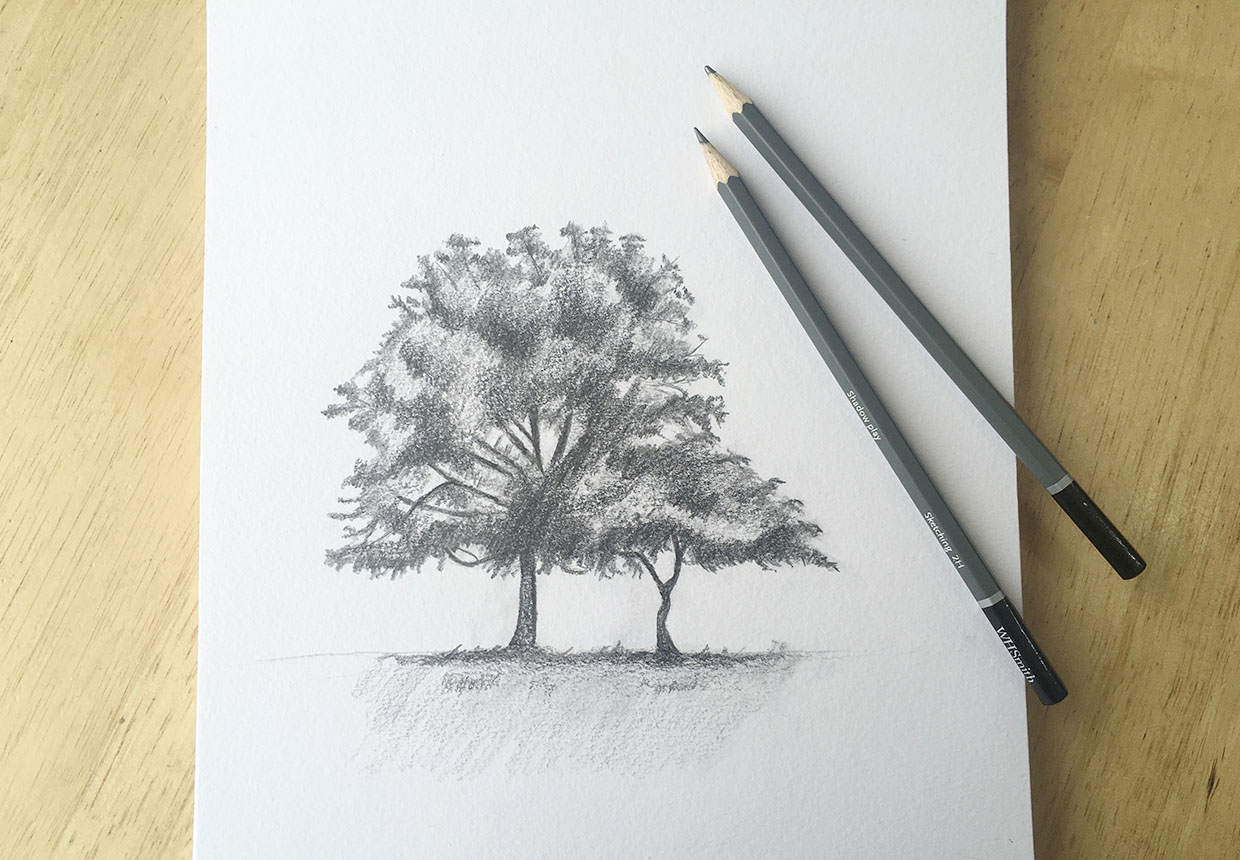 Original Pencil Sketch of Tree Part of a Large Art Series, Tree Drawing,  Wall Art. Home Decor, Framed and Matted. Owentree Studios - Etsy