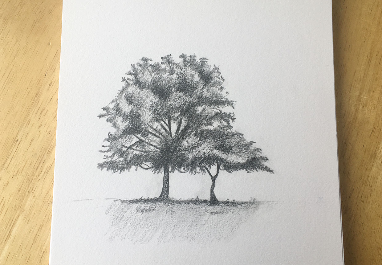 How to Draw Realistic Trees Like a Pro
