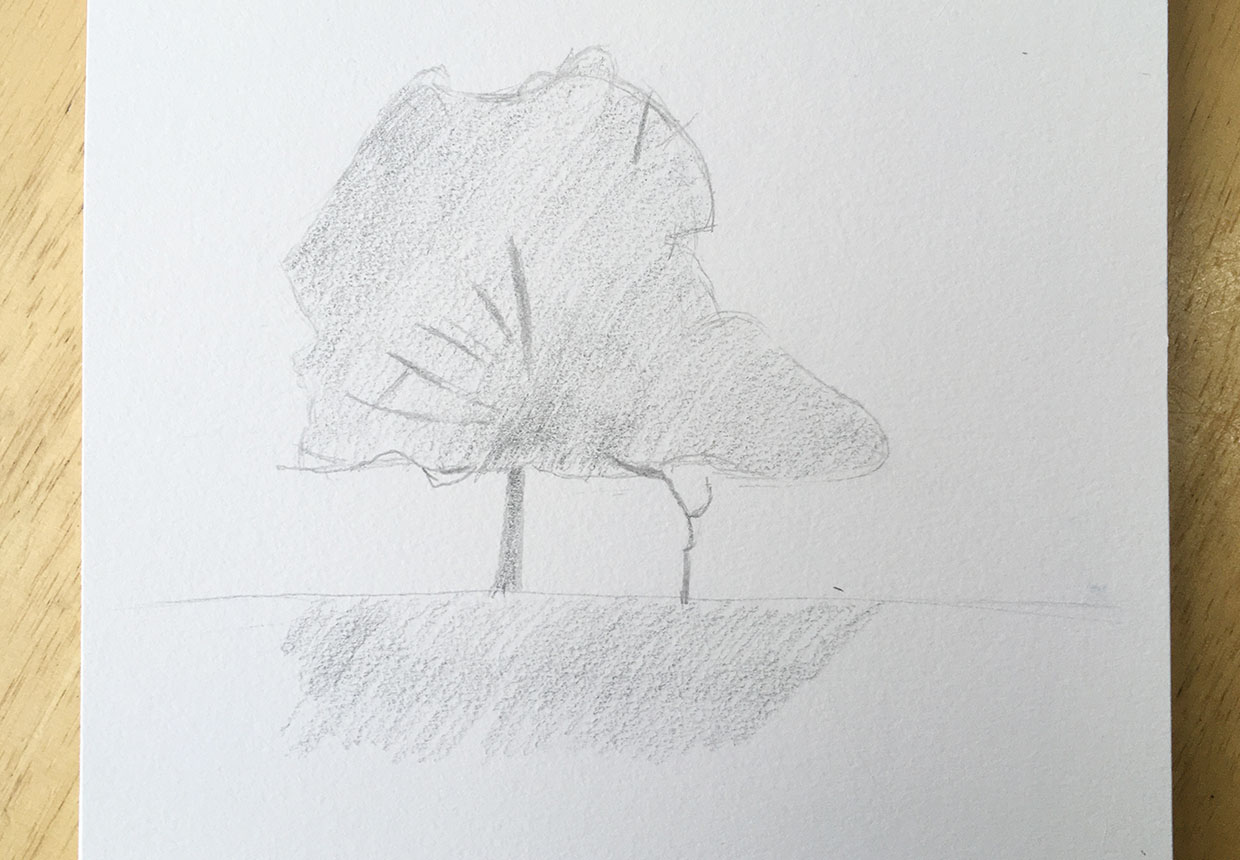 How to draw a tree step 5