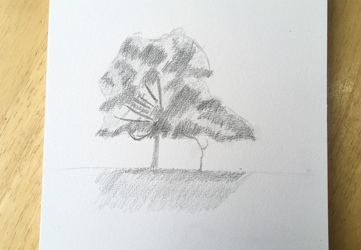 How to Draw Leaves On a Tree - Pen and Ink Drawing Tutorial