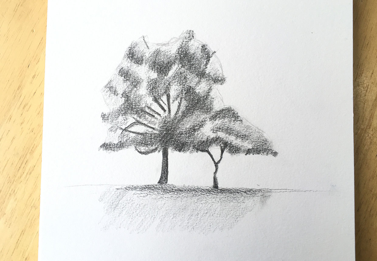 How to draw a tree step 7