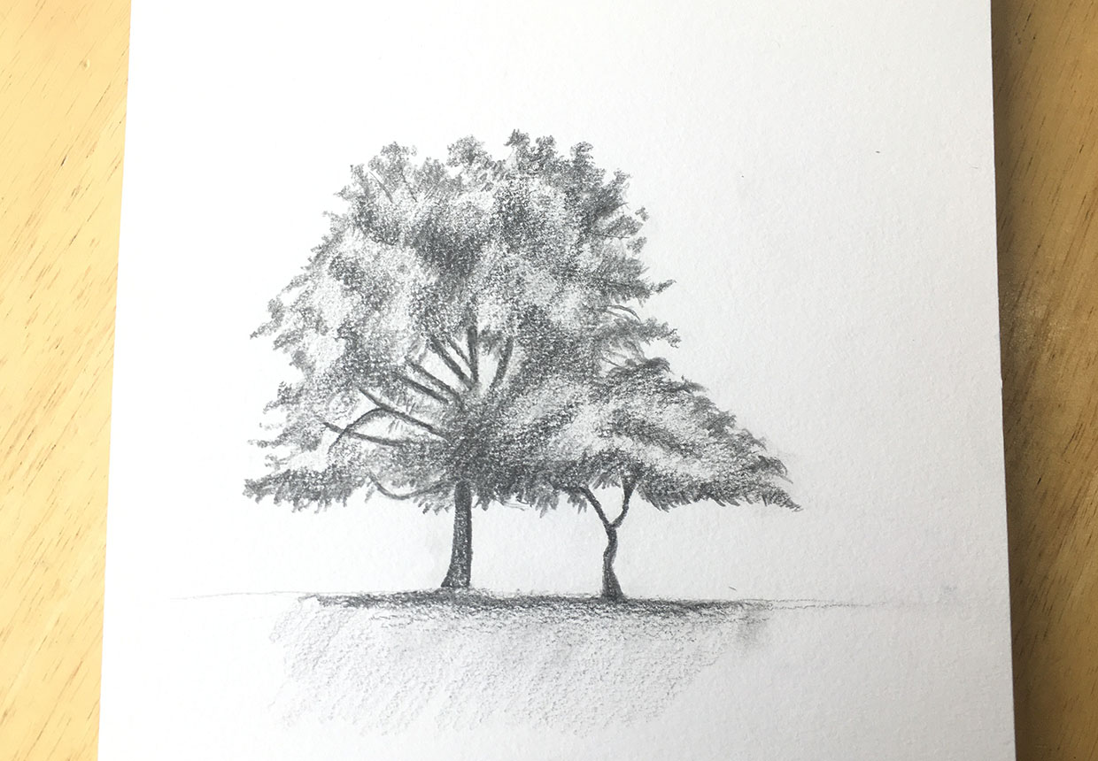 Hand drawn tree stock illustration. Illustration of leaf - 16654695