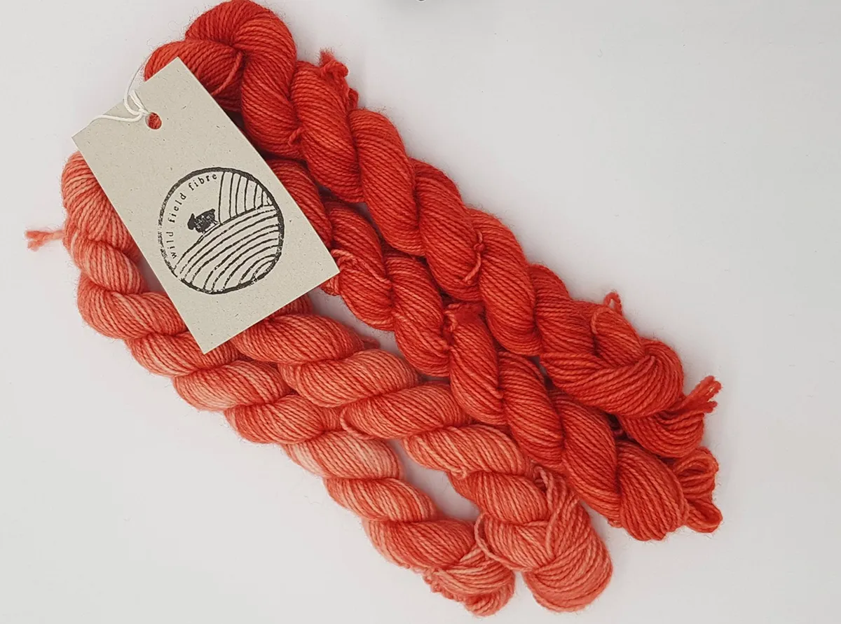 Coraline mini skein set ombre yarn