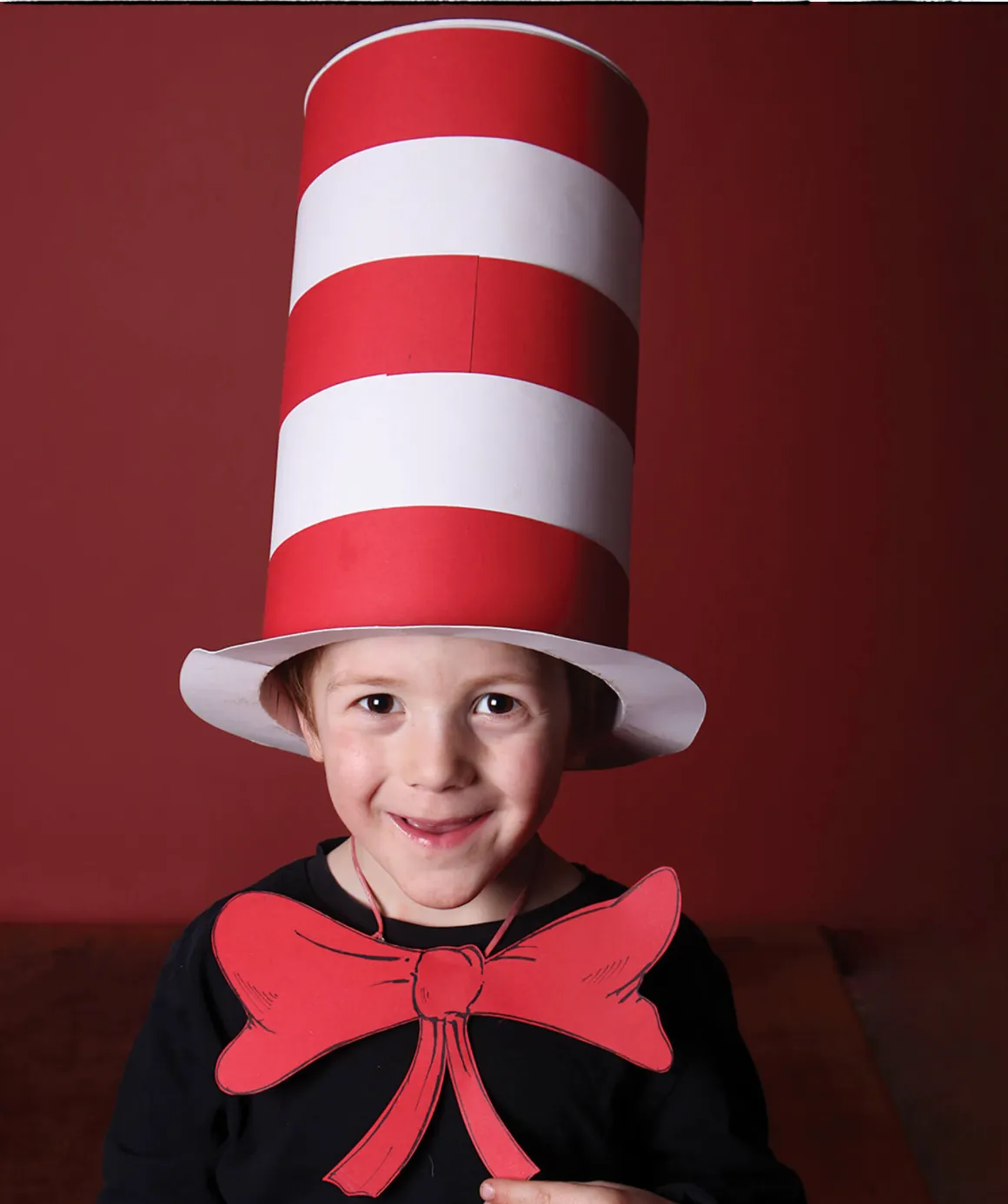 How to make a cat in the hat costume