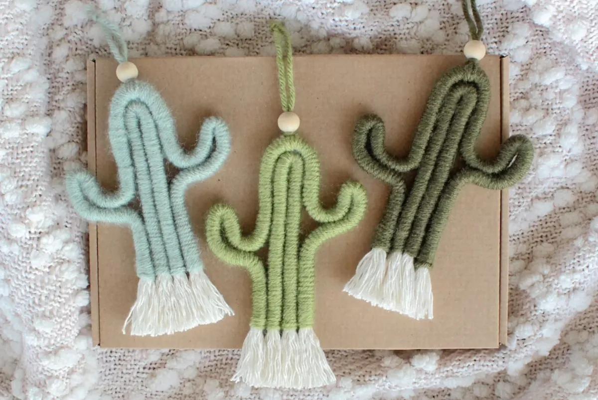 Mini Macrame Cactus Craft Kit