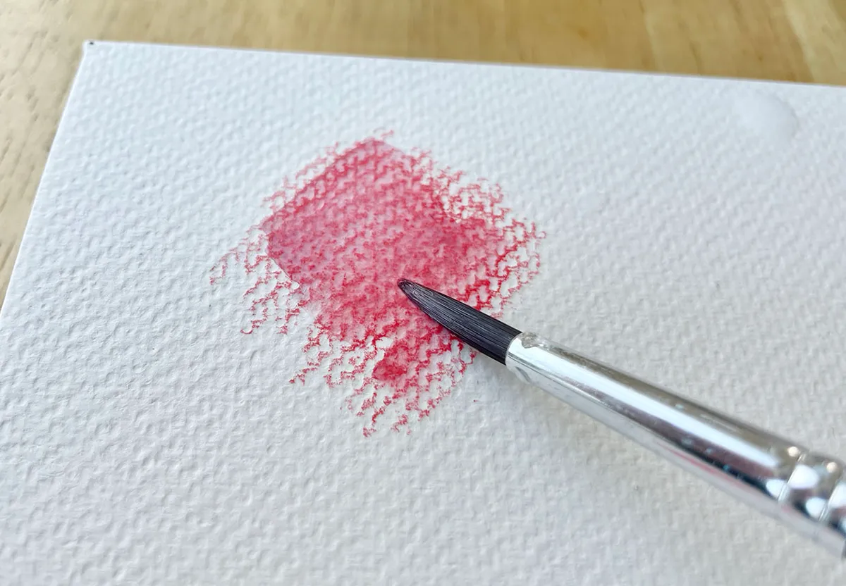 Best watercolor pencils – blending using a paint brush