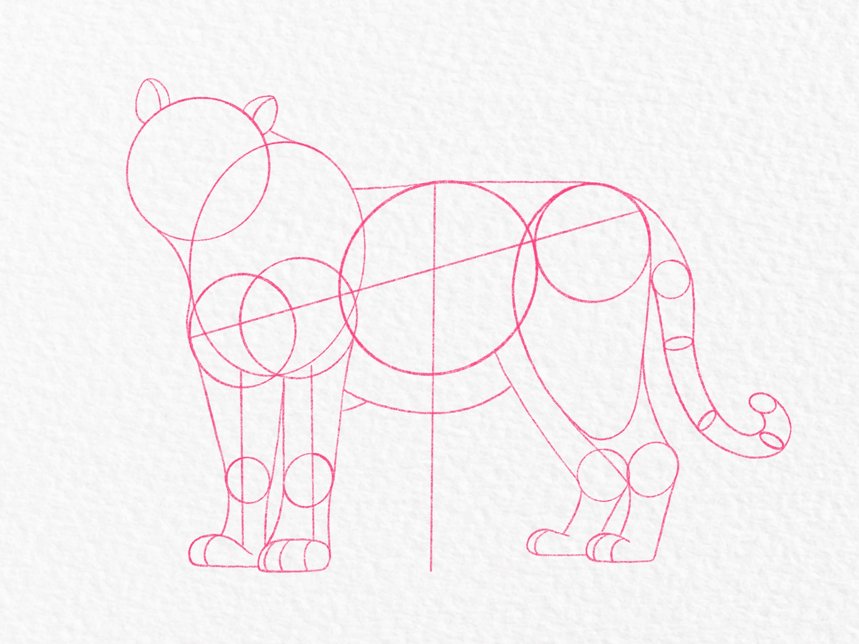 One Line Tiger Vector Images (over 380)